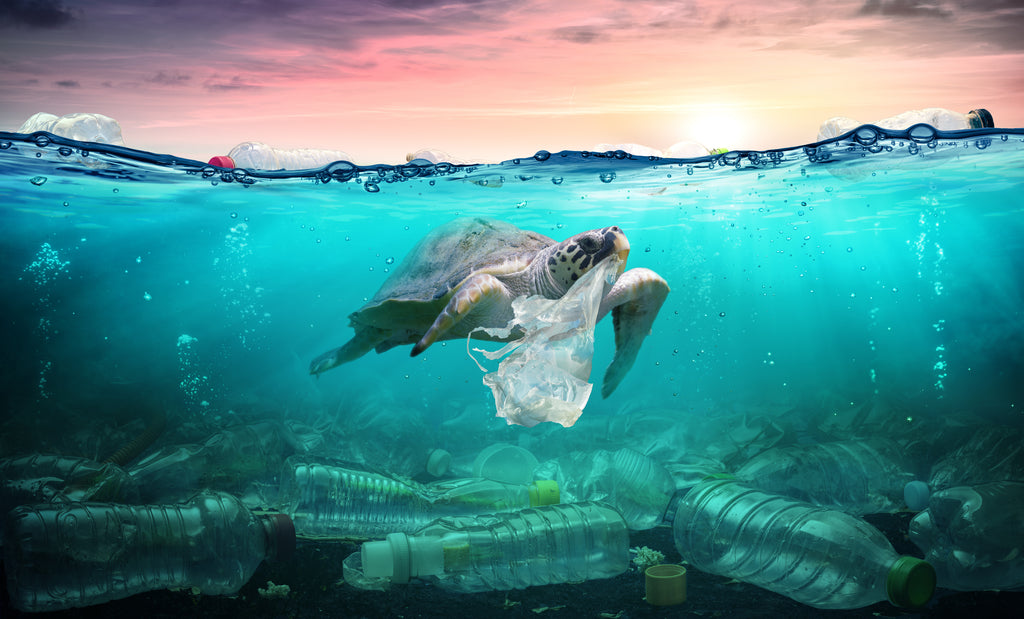 Le plastique dans les océans : 4 solutions innovantes pour le combattre
